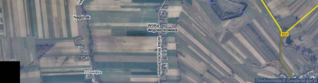 Zdjęcie satelitarne Wólka Wojcieszkowska ul.